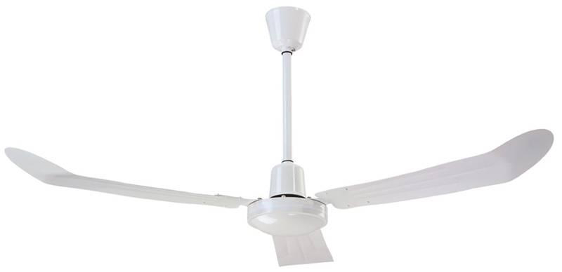 Ceiling Fans