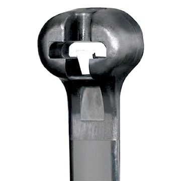 panbt15im0