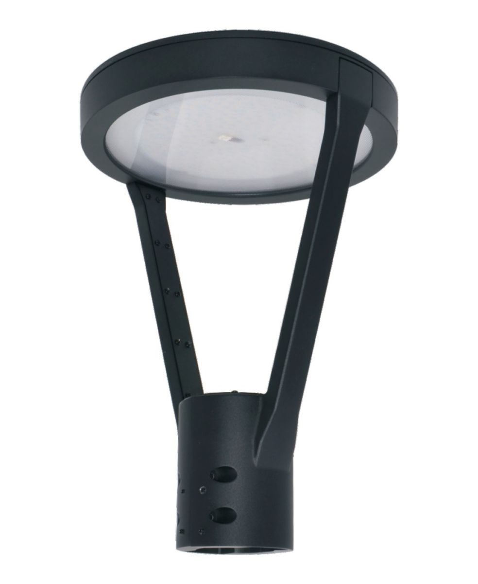 10 Ft 5 Arm Gargoyle Pole Light for Commercial or Residential Use