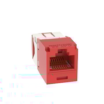 pancj5e88tgrd