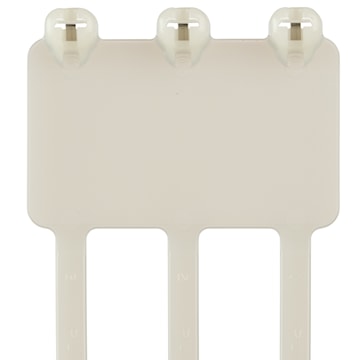 panb3m2stl