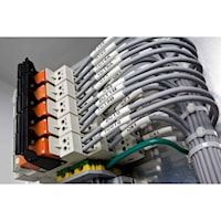 bra3ps1252wt2