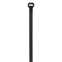 panbt4mm0