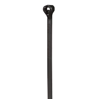 panbt4mm0