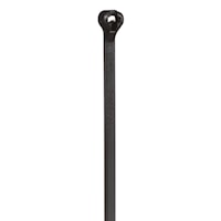 panbt4mm0