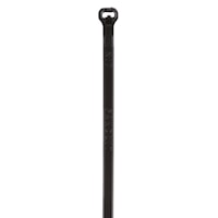 panbt1mm30