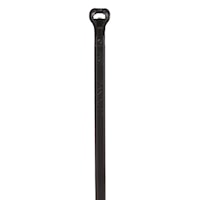 panbt2mm0