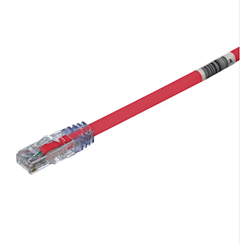 panutp6ax5rd