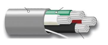 cab22/3pvcft4