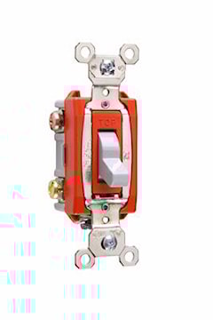 pasps20ac3gry