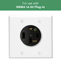 pas3894wrev