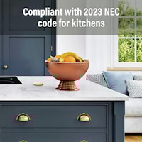 pascp498tr20bk