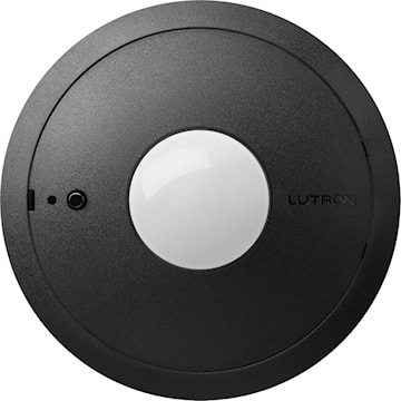 lutlos2cirbl